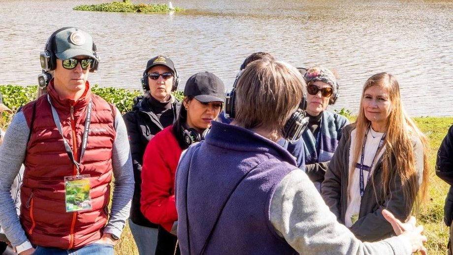 Field immersion — reading the system