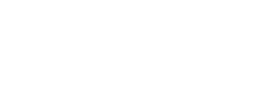 SBI — Stellenbosch Business Institute